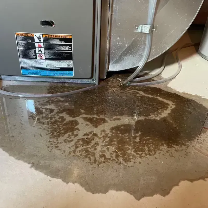 Appliance Leak Cleanup in Teutopolis, IL